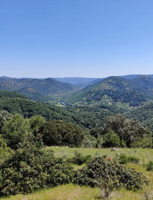 Parque Natural Sierra de Andújar